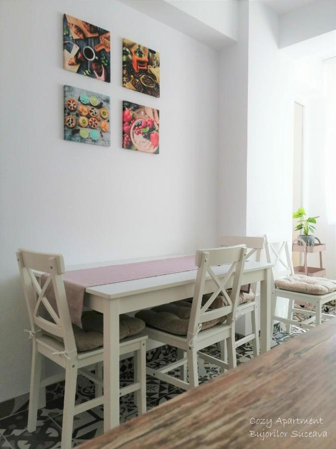 Cozy Apartment Bujorilor Suceava Exterior foto