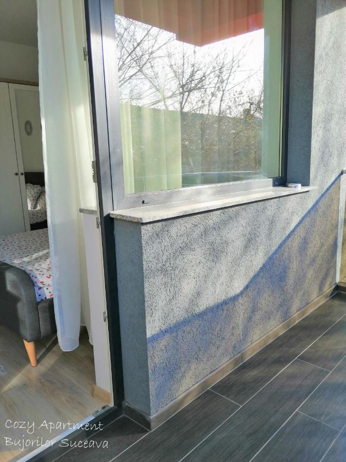 Cozy Apartment Bujorilor Suceava Exterior foto