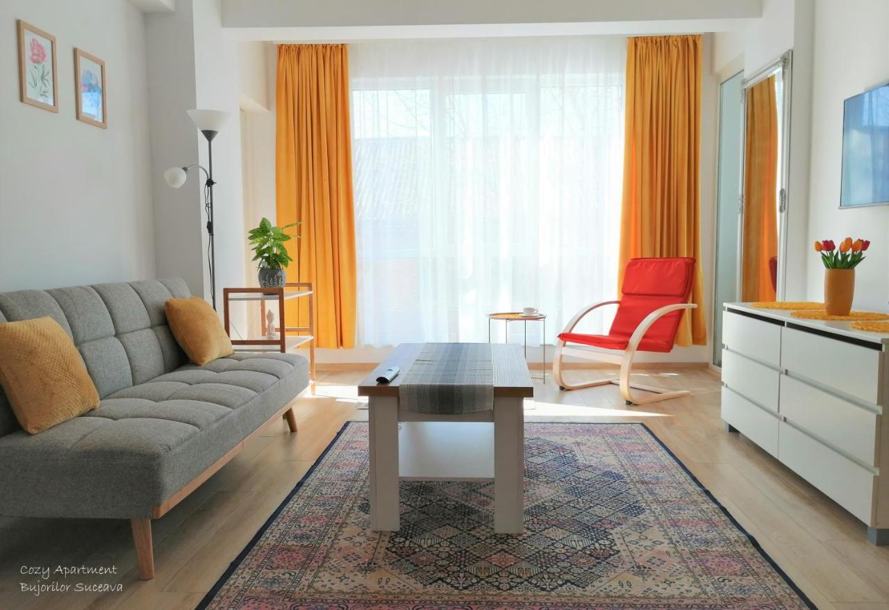Cozy Apartment Bujorilor Suceava Exterior foto