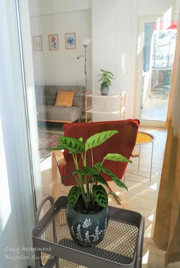 Cozy Apartment Bujorilor Suceava Exterior foto