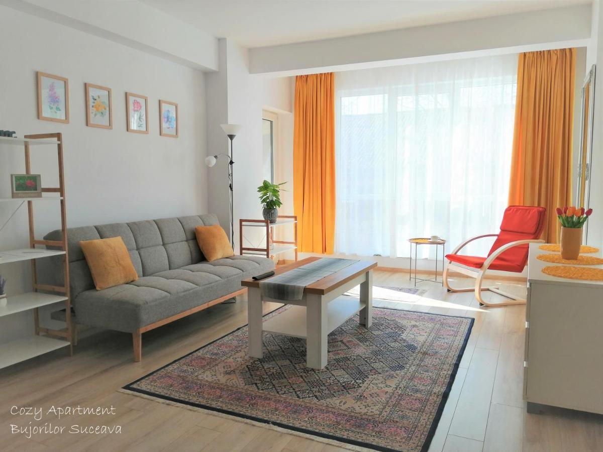 Cozy Apartment Bujorilor Suceava Exterior foto