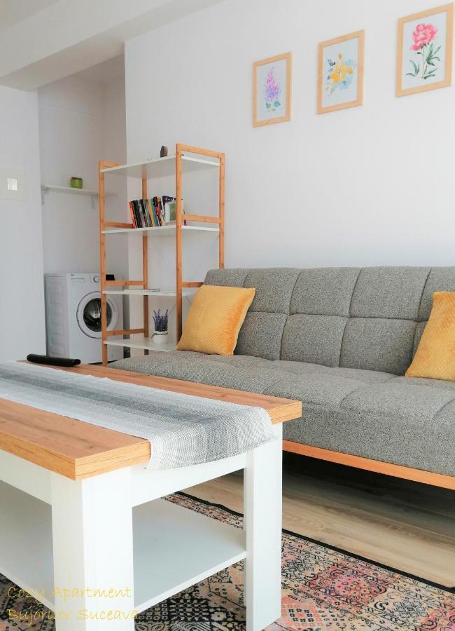 Cozy Apartment Bujorilor Suceava Exterior foto