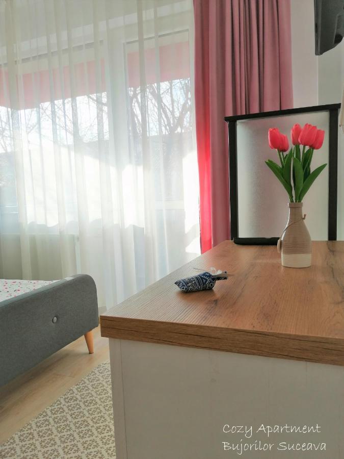 Cozy Apartment Bujorilor Suceava Exterior foto