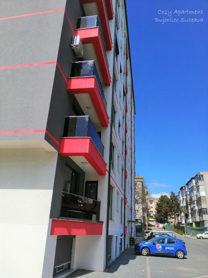 Cozy Apartment Bujorilor Suceava Exterior foto