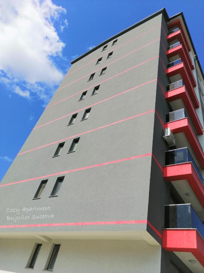 Cozy Apartment Bujorilor Suceava Exterior foto