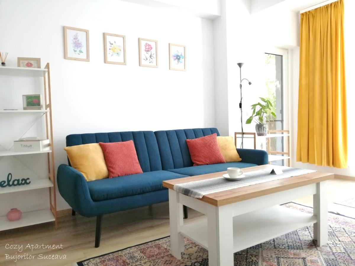 Cozy Apartment Bujorilor Suceava Exterior foto